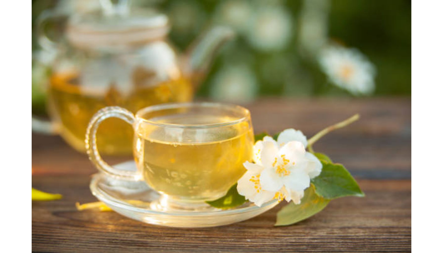 چای سفید و کاهش وزن