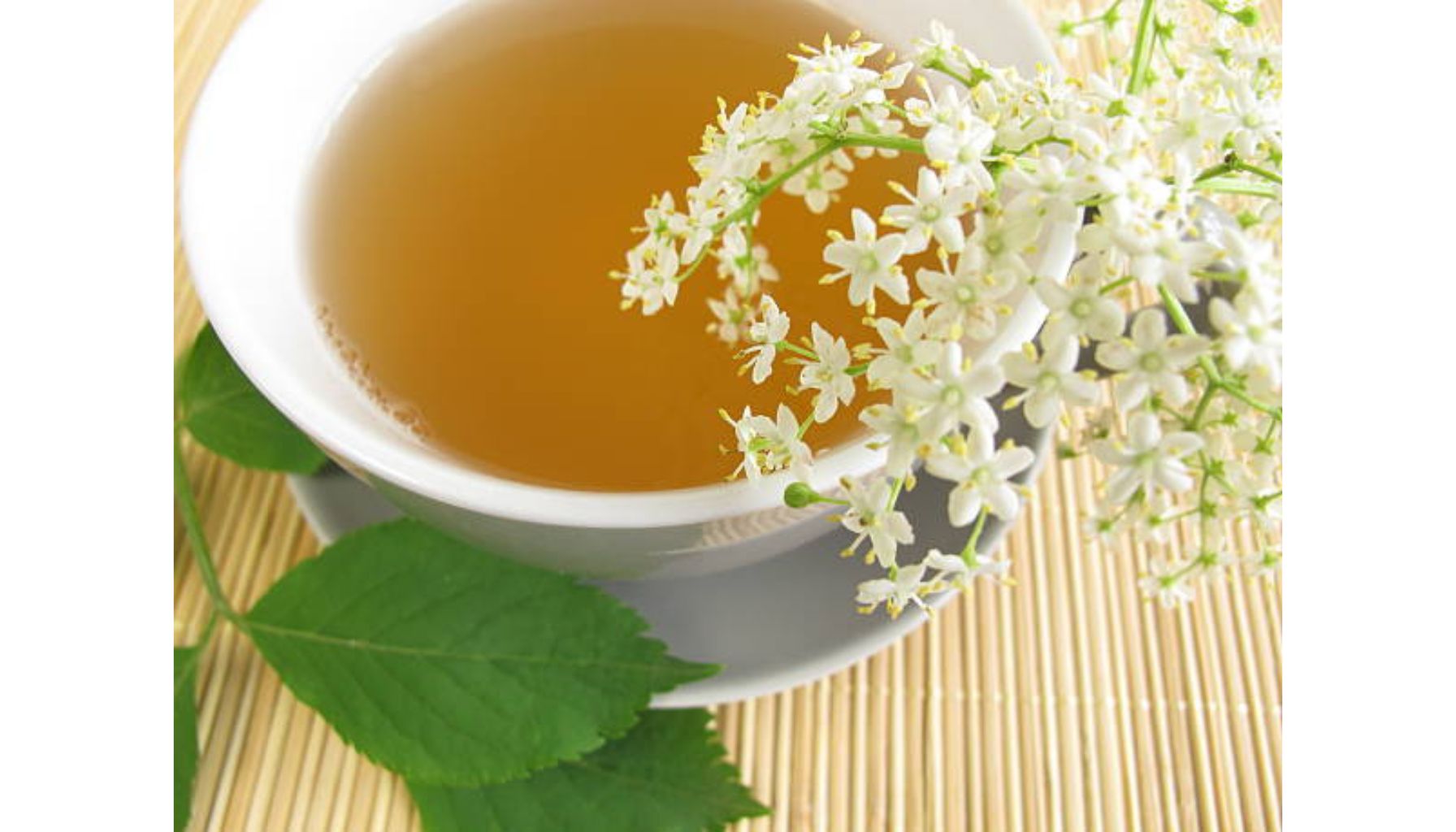 فواید چای سفید